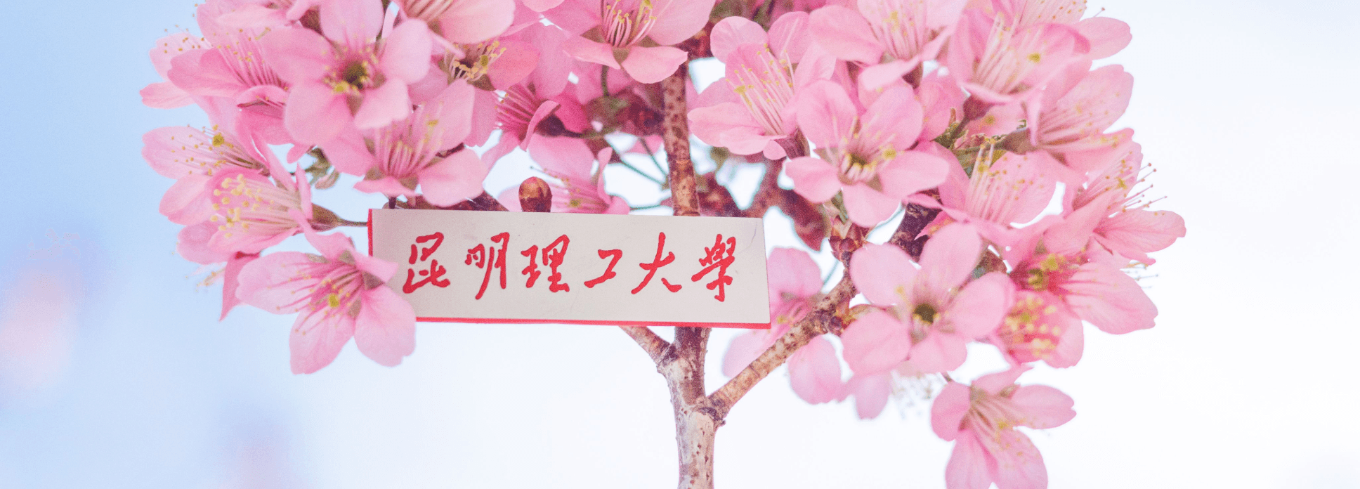 娱乐城平台